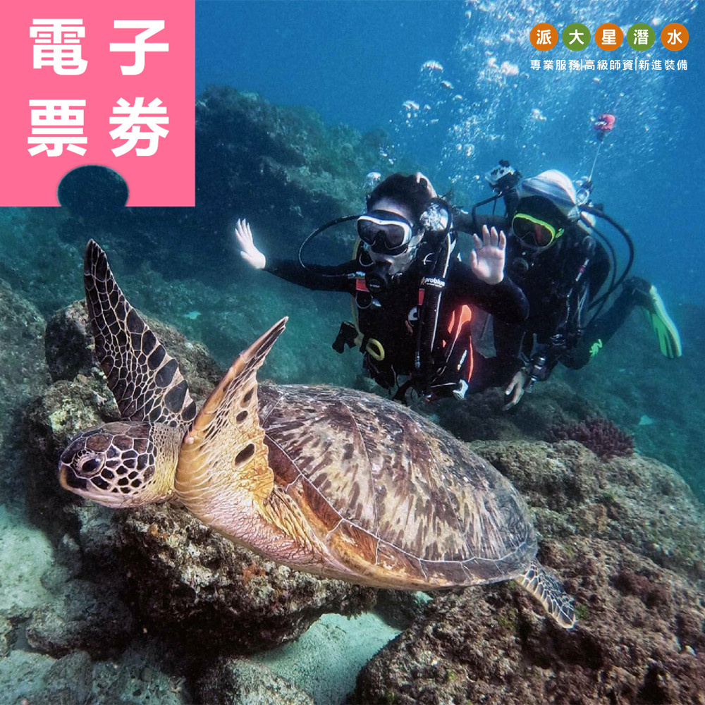【電子票券】小琉球｜派大星潛水 體驗券 Ⓣ