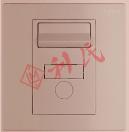 Legrand 羅格朗 Galion 13A 雙極保險有開關菲士接線蘇 (白色/香檳金/深沙銀/玫瑰金/碳素黑/櫻花粉)