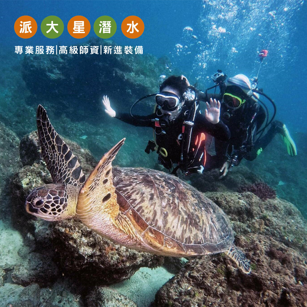 【小琉球】派大星潛水 體驗券 Ⓣ