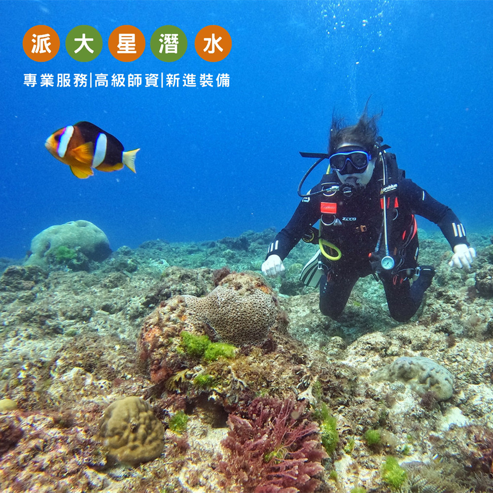 【小琉球】派大星潛水 體驗券 Ⓣ