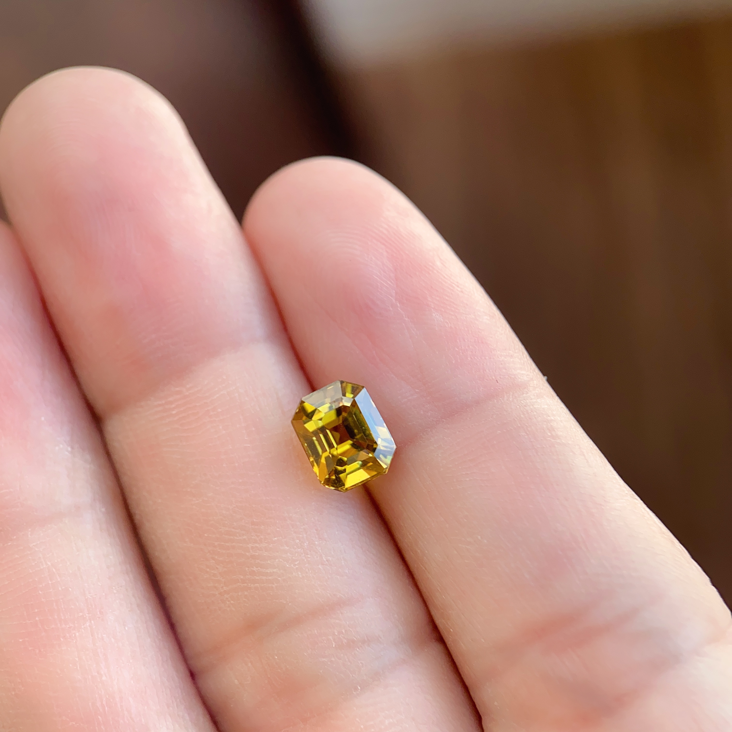 2.69ct 馬里石榴石 2.69ct 馬里石榴石