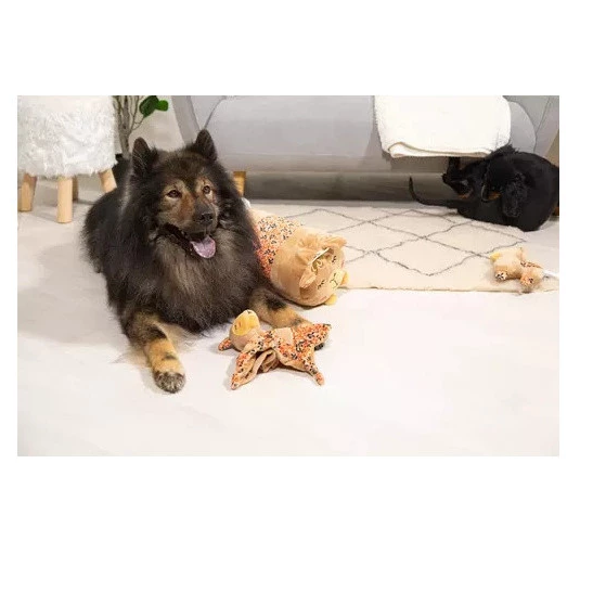 Zolux Chiquitos 花鹿系列 2款