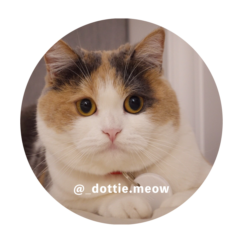 Chipolo 防丟小幫手