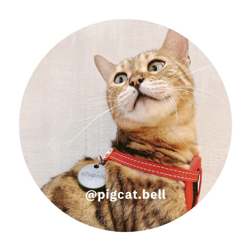 Chipolo 防丟小幫手