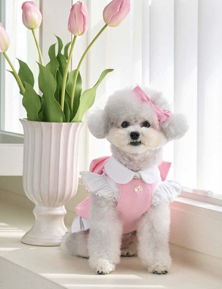 love～櫻粉絲帶-裙裝 櫻花粉-It’s sunny outside