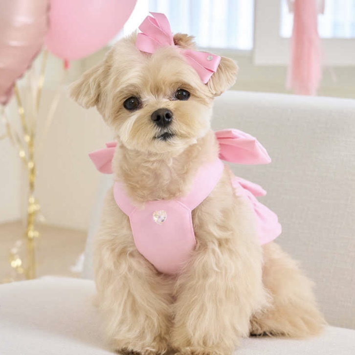 love～櫻粉絲帶-裙裝 櫻花粉-It’s sunny outside