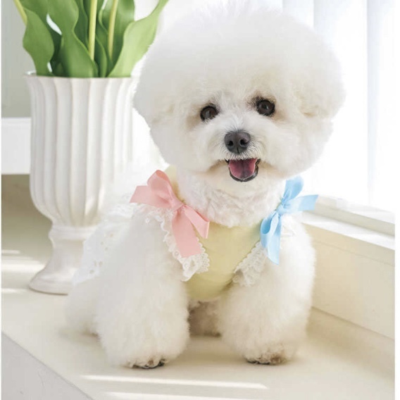 Petit Sherbet 糖果裙裝 -(Yellow) 百香黃-It’s sunny outside寵物服飾