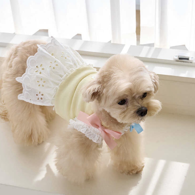 Petit Sherbet 糖果裙裝 -(Yellow) 百香黃-It’s sunny outside寵物服飾