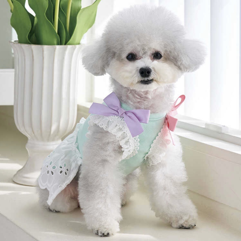 Petit Sherbet 糖果裙裝 -(Mint)薄荷-It’s sunny outside