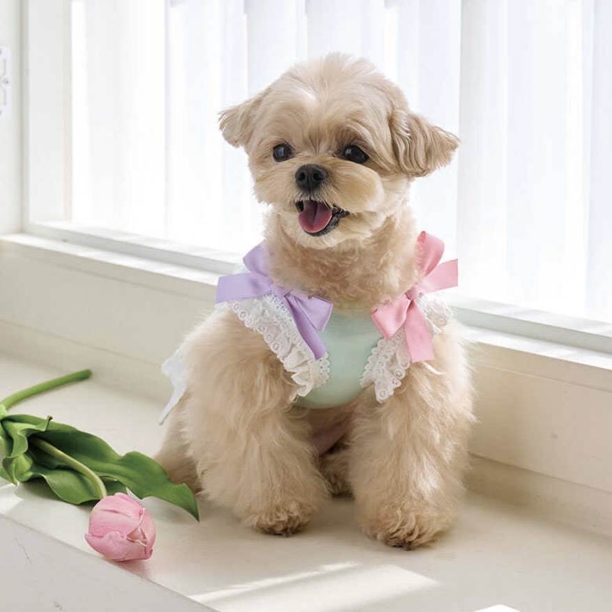 Petit Sherbet 糖果裙裝 -(Mint)薄荷-It’s sunny outside