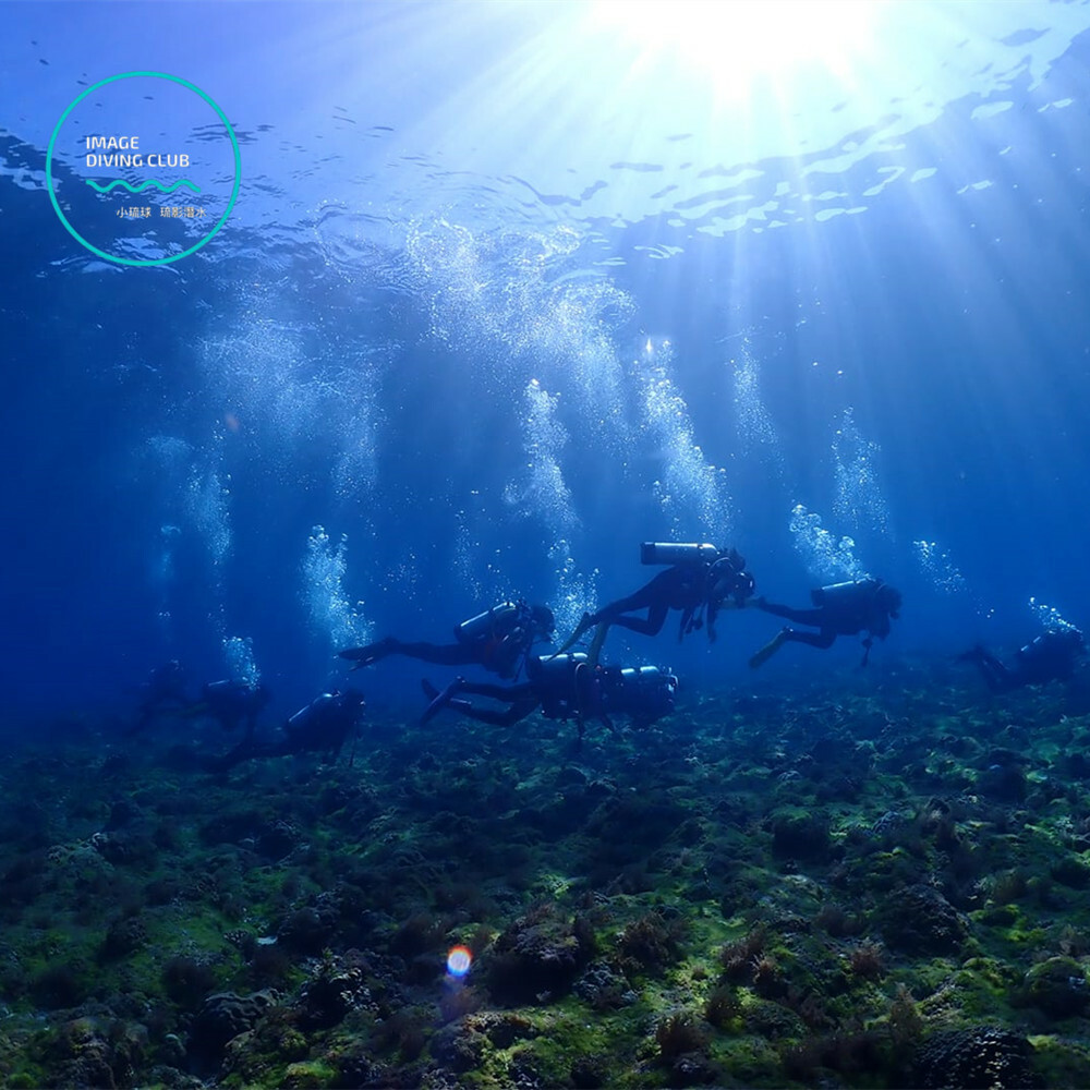 【小琉球】琉影潛水 體驗券 Ⓣ