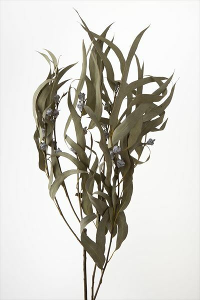 日本乾燥尤加利葉 40235-000