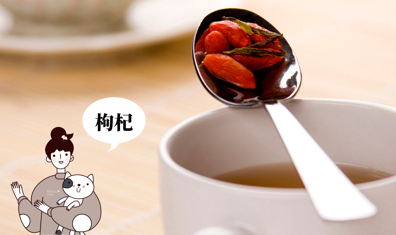 用枸杞來泡水喝的畫面｜逗DOLL SPA鐵定好漾血紅素鐵精華飲