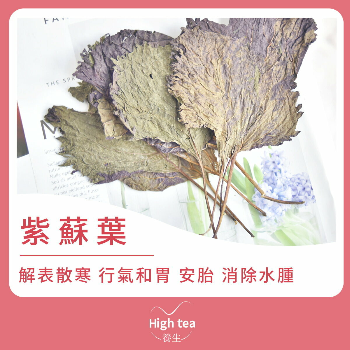 紫蘇葉 (25g/1pc) 清熱消炎 解表散寒 行氣和胃 消除水腫 *新貨葉片較小 介意者慎購