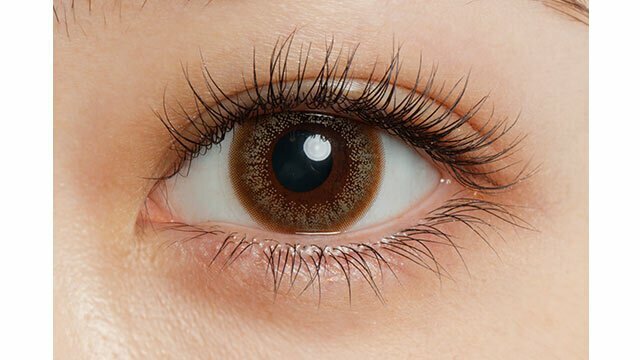 Fashionista 1 Day HAZEL HONEY 日拋彩妝隱形眼鏡｜每盒10片