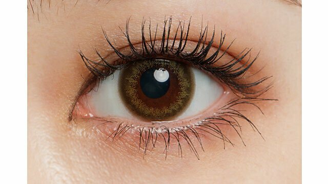 Fashionista 1 Day SHEER KHAKI日拋彩妝隱形眼鏡｜每盒10片