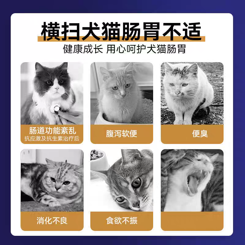 MAG宠物营养补充剂 布拉迪酵母益生菌 呕吐 胃酸 3g*8