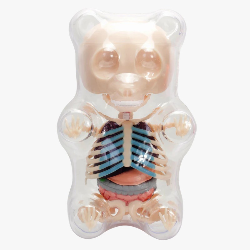 GUMMI BEAR ANATOMY - CLEAR SHELL 小熊仔軟糖解剖 (透殼)