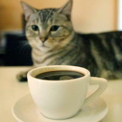 爐鍋咖啡特調綜合 (Luguo Cafe House Blend)