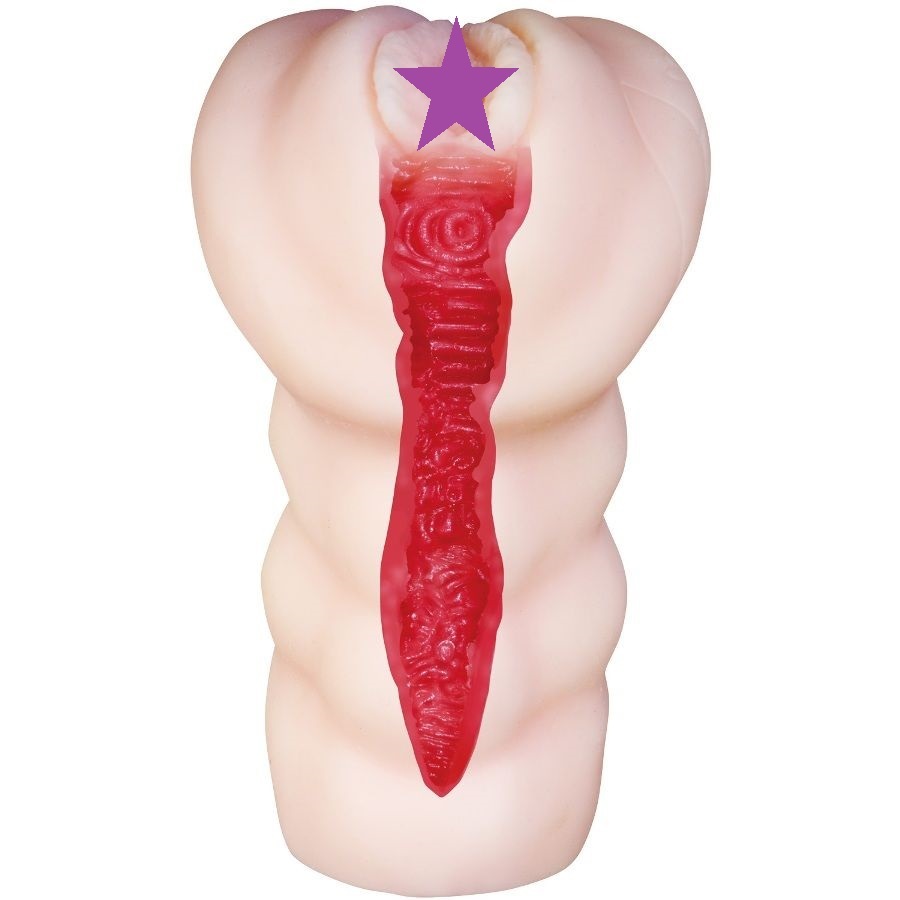 〔日本原裝進口〕NPG - 極上名器 001 葵司 (葵つかさ)