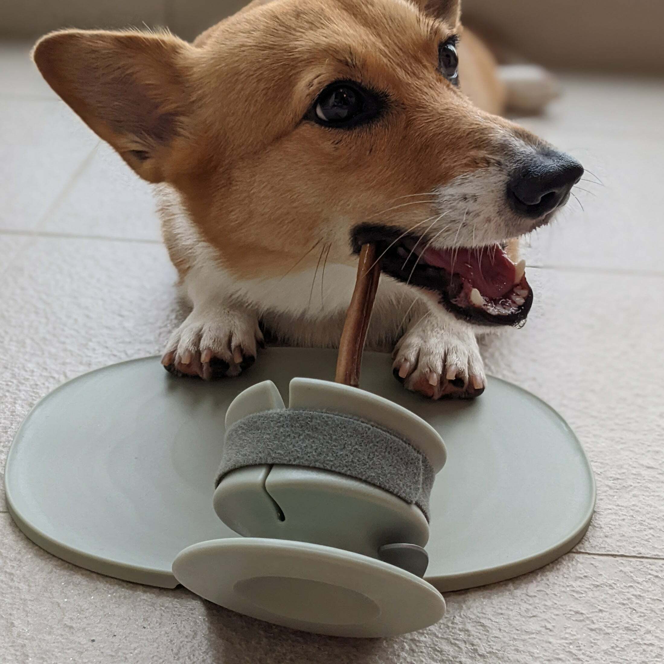 LUNOJI - CHEWDEN 咬咬握組合