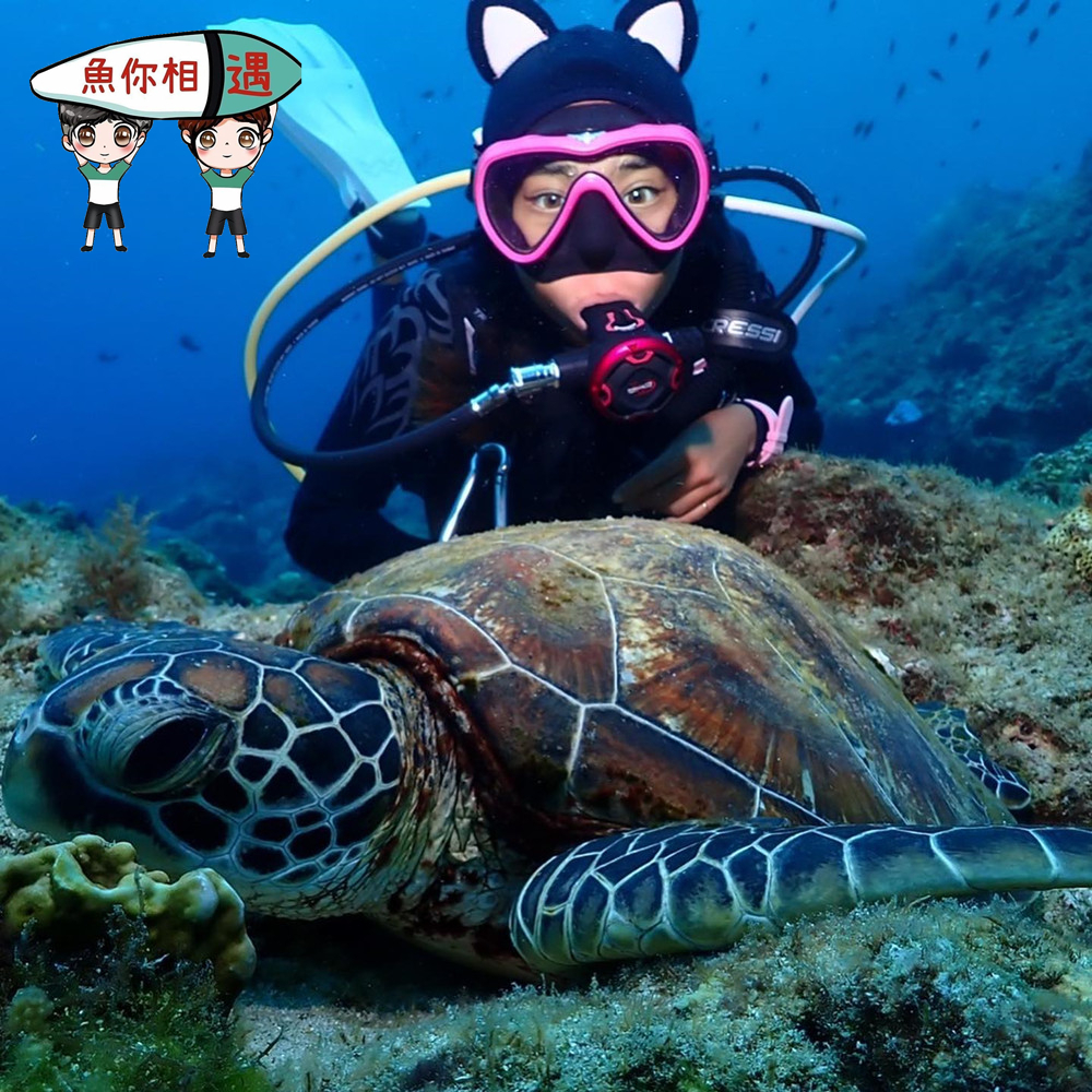 【小琉球】魚你相遇 體驗券 Ⓣ