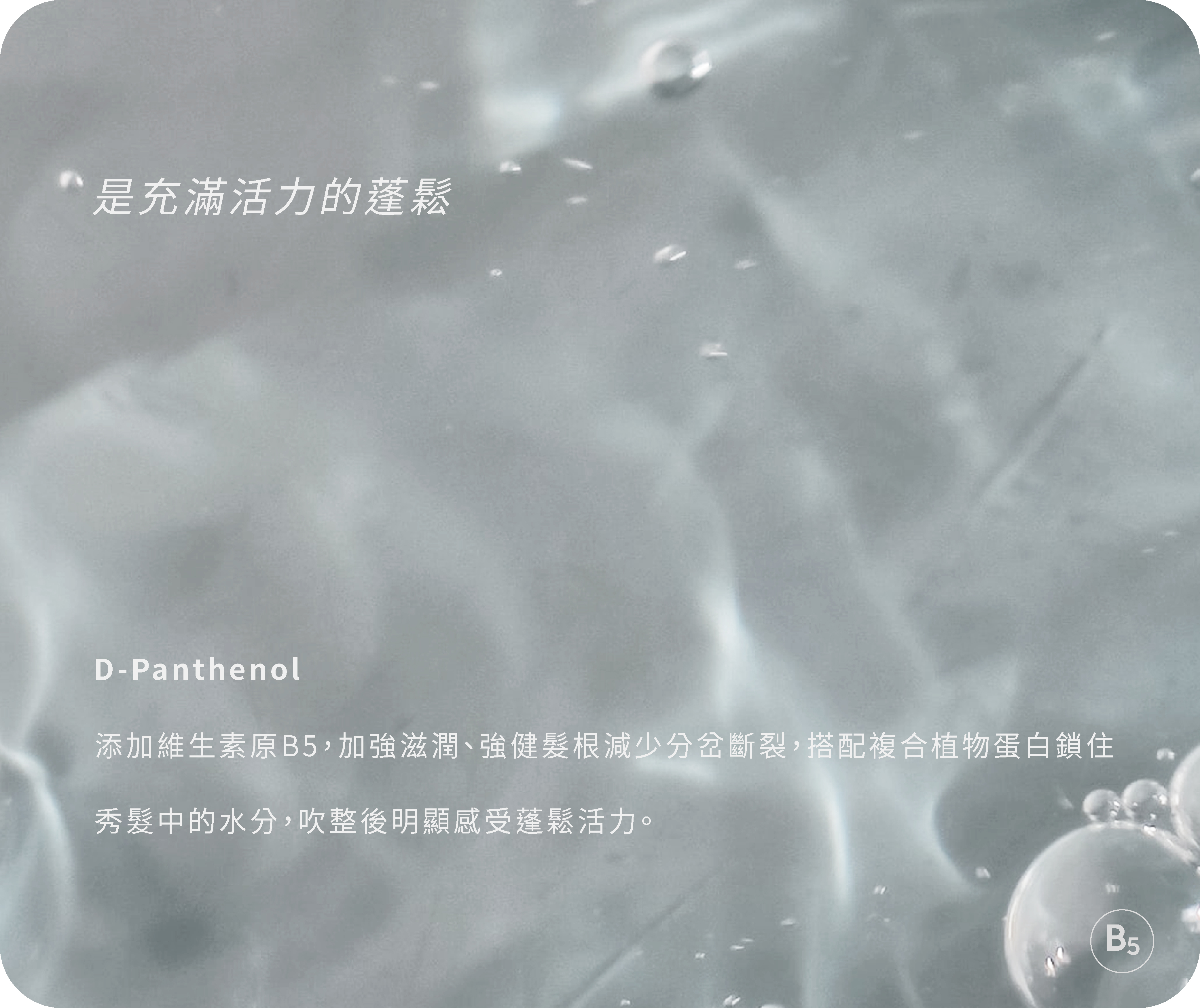 維他命B5強健髮根