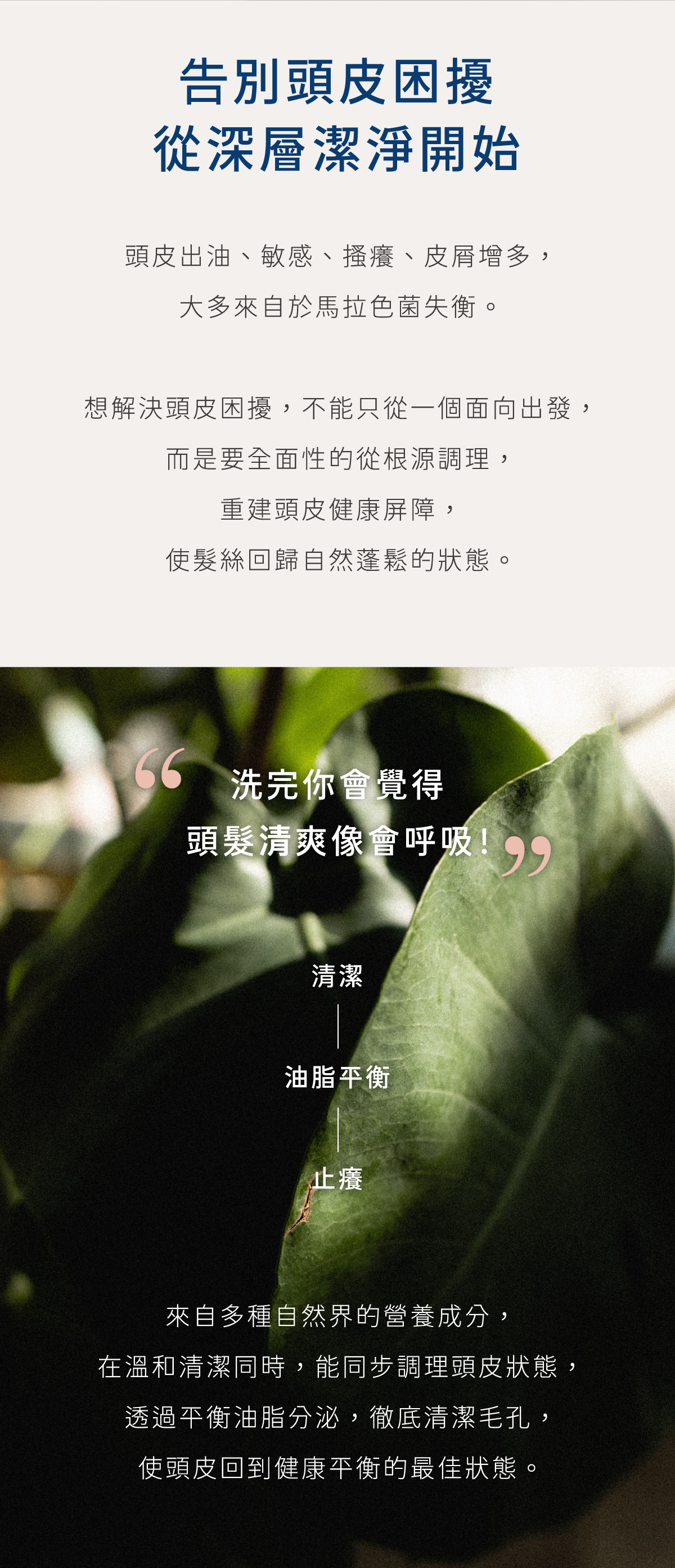 告別扁塌毛躁髮 回歸清爽蓬鬆