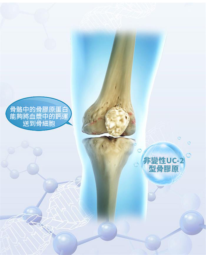 Spruce Nutrition UC-II 膠原蛋白 六合一強效關節配方 30 粒裝 美國原裝行貨 產細資料