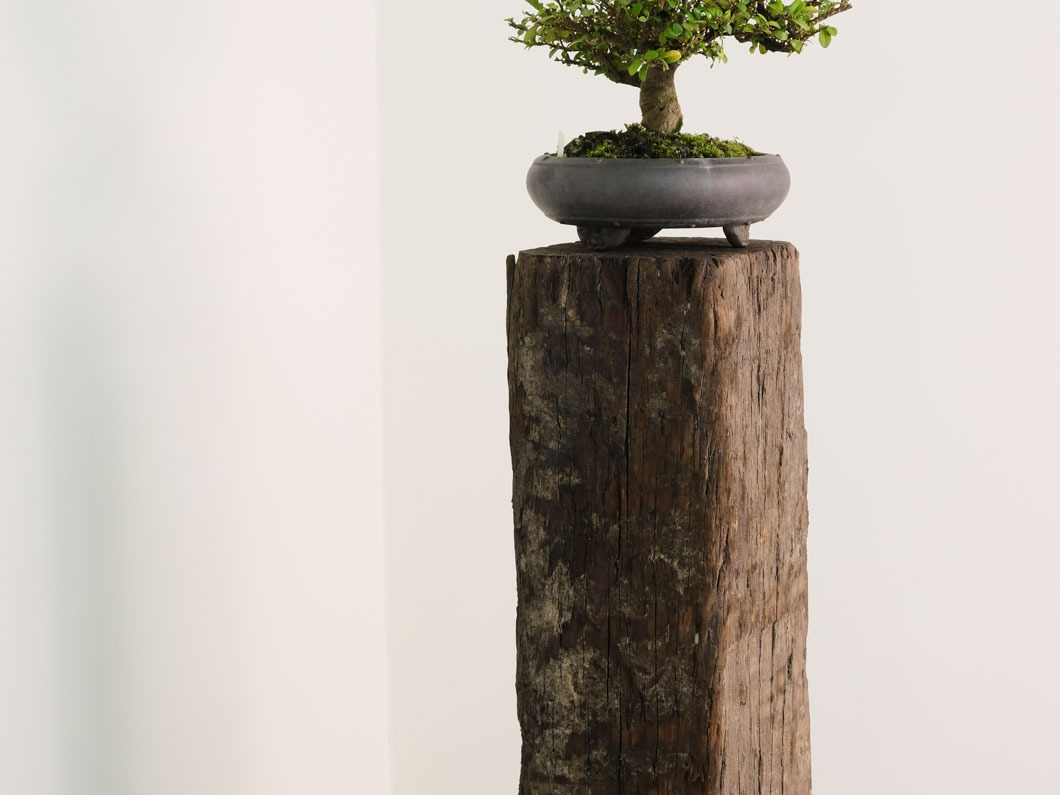 時代家具　唐木製　格子飾花台　香炉台　盆栽台　文机　BK133 時代家具 唐木製 格子飾花台 香炉台 盆栽台 文机 BK133 - メルカリ