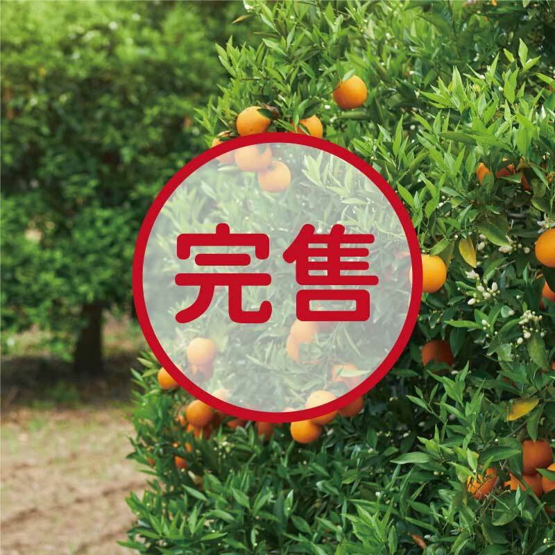 【茂谷】產季1~2月