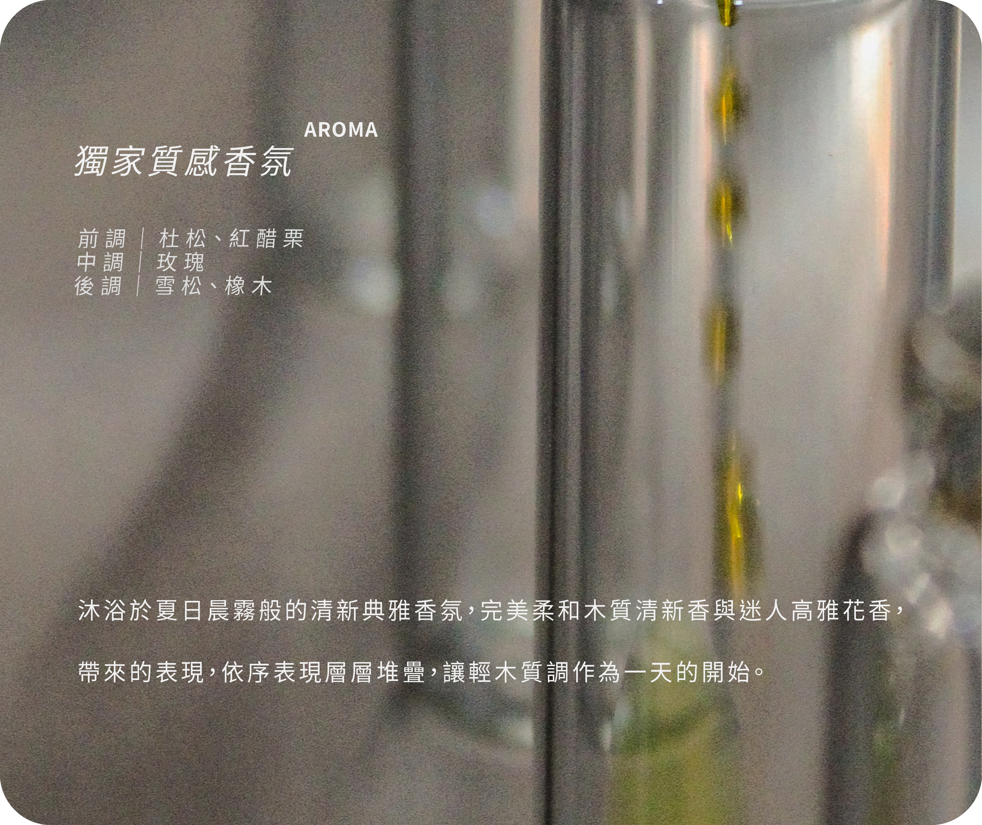 玫瑰、雪松香氛