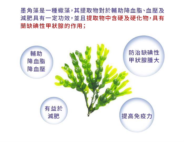 Spruce Nutrition 十重強效配方 甲狀腺 平衡素 30 粒裝 美國原裝行貨 產品簡介
