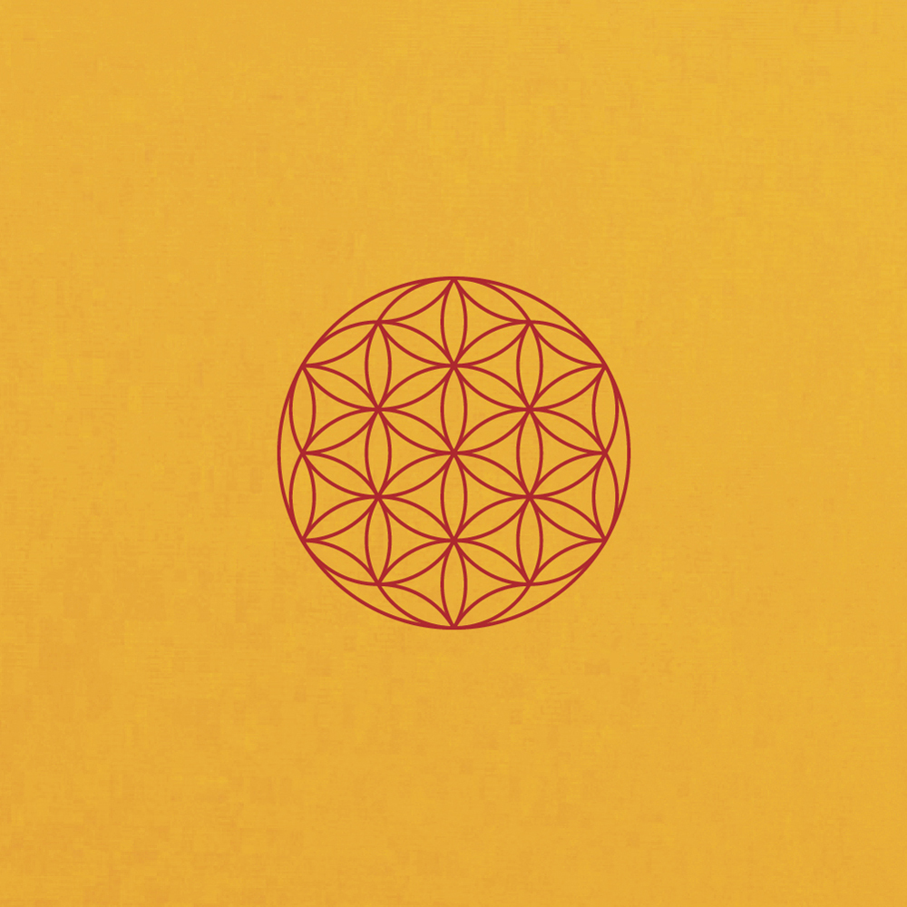 專利呼吸衣-開悟之路_生命之花