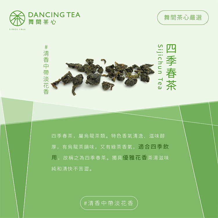 四季春茶-原片立體茶包12入(獨立包)