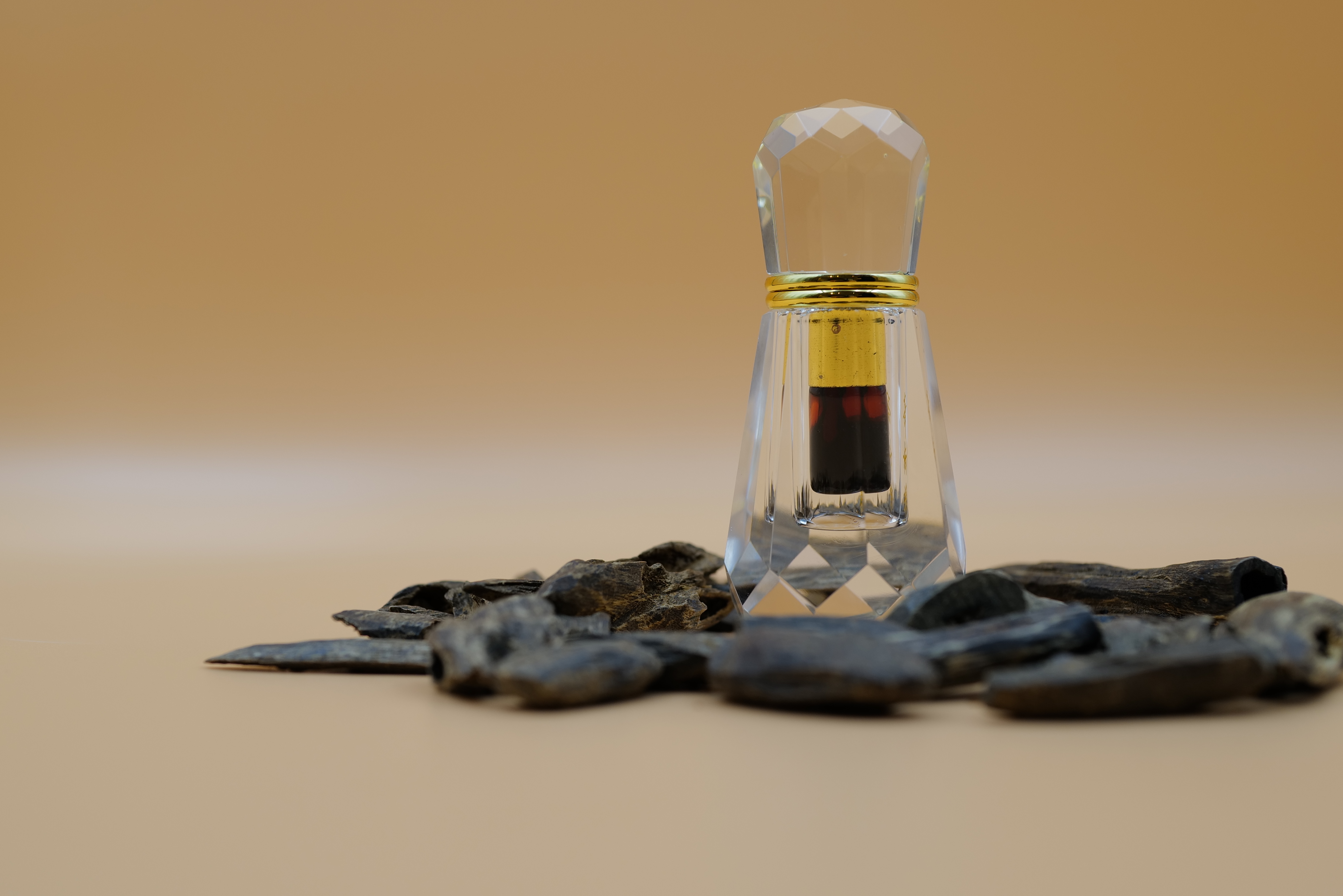 Hainan oil（海南虫漏2016）