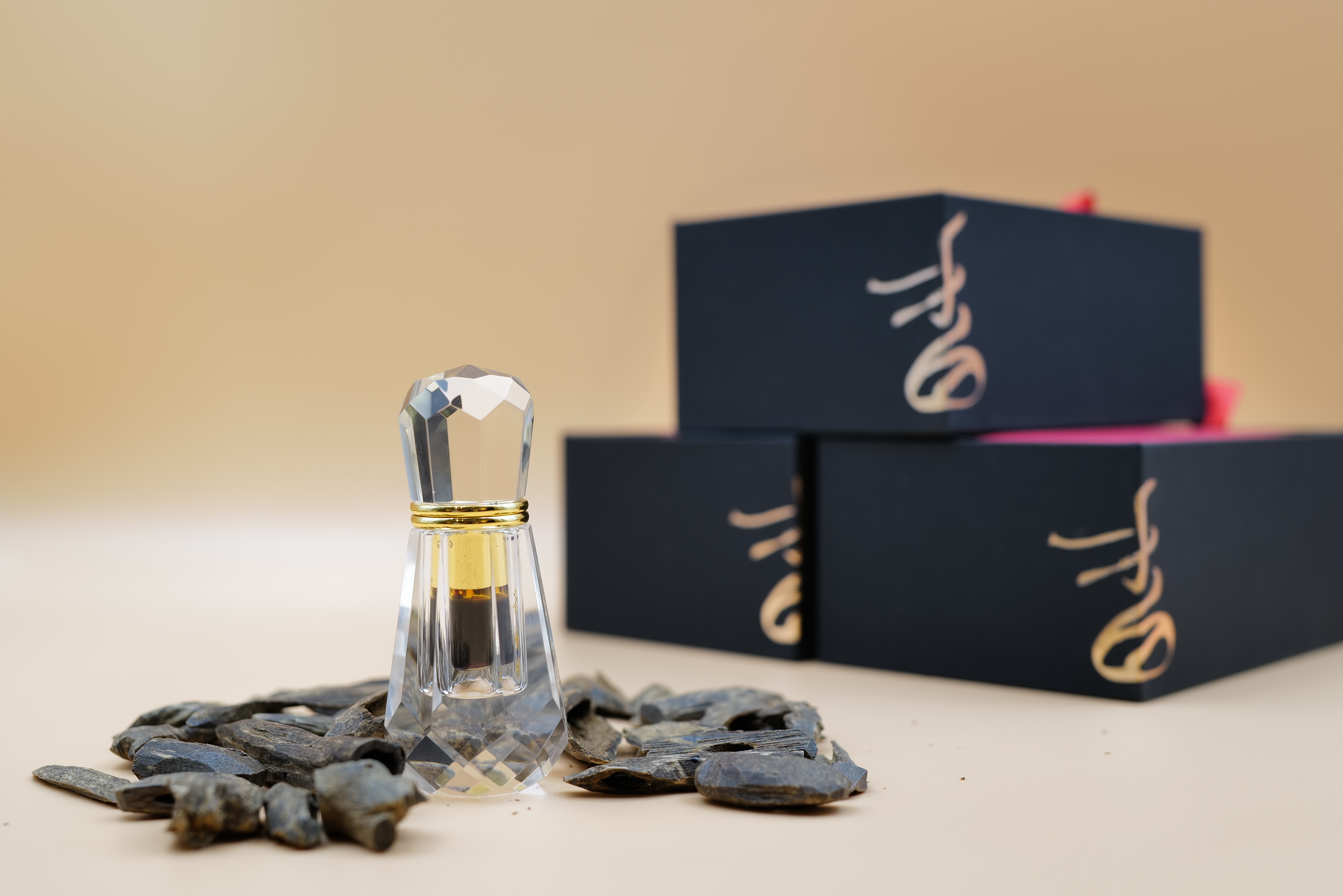 Hainan oil（海南虫漏2016）