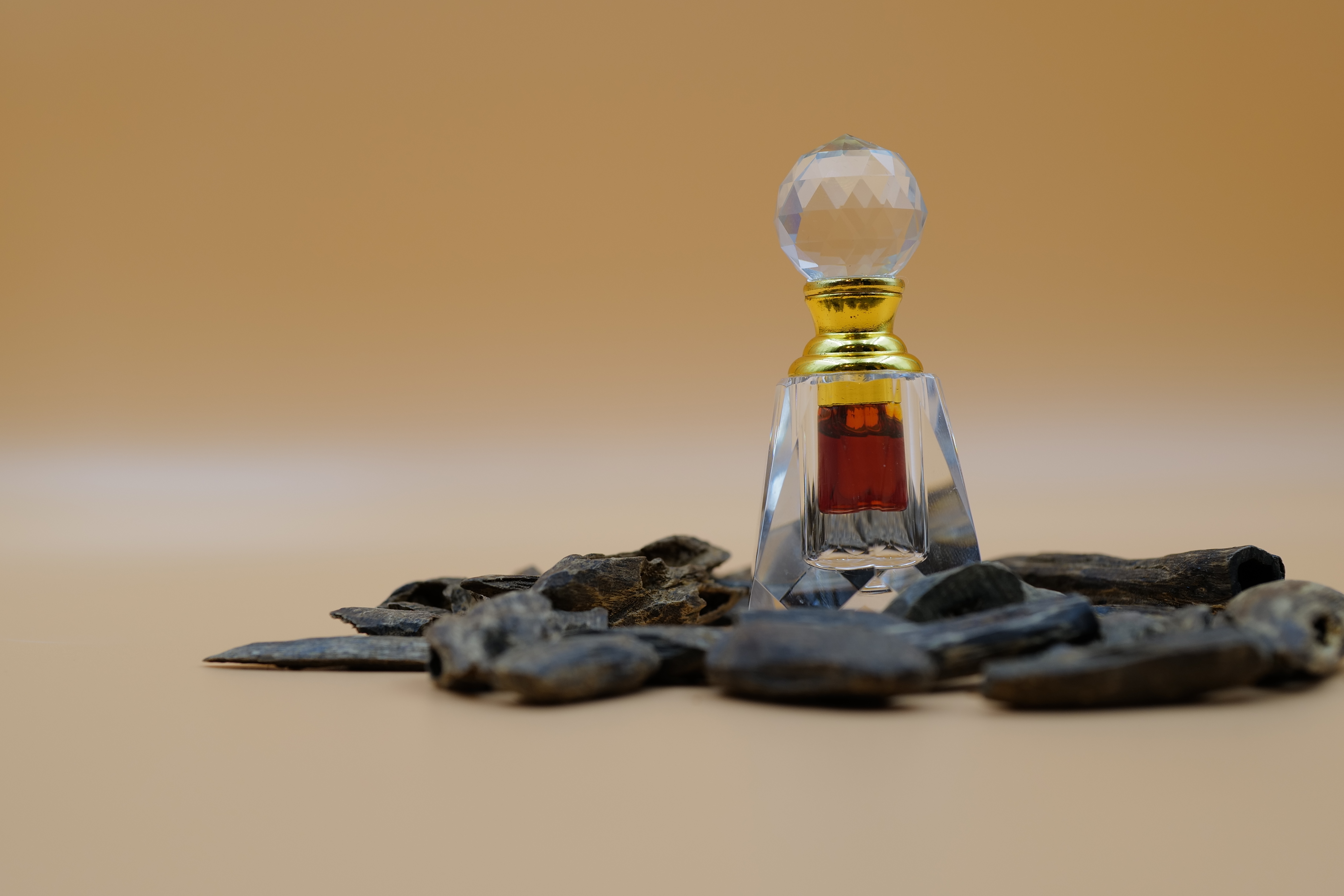 Hainan oil（海南 2008）