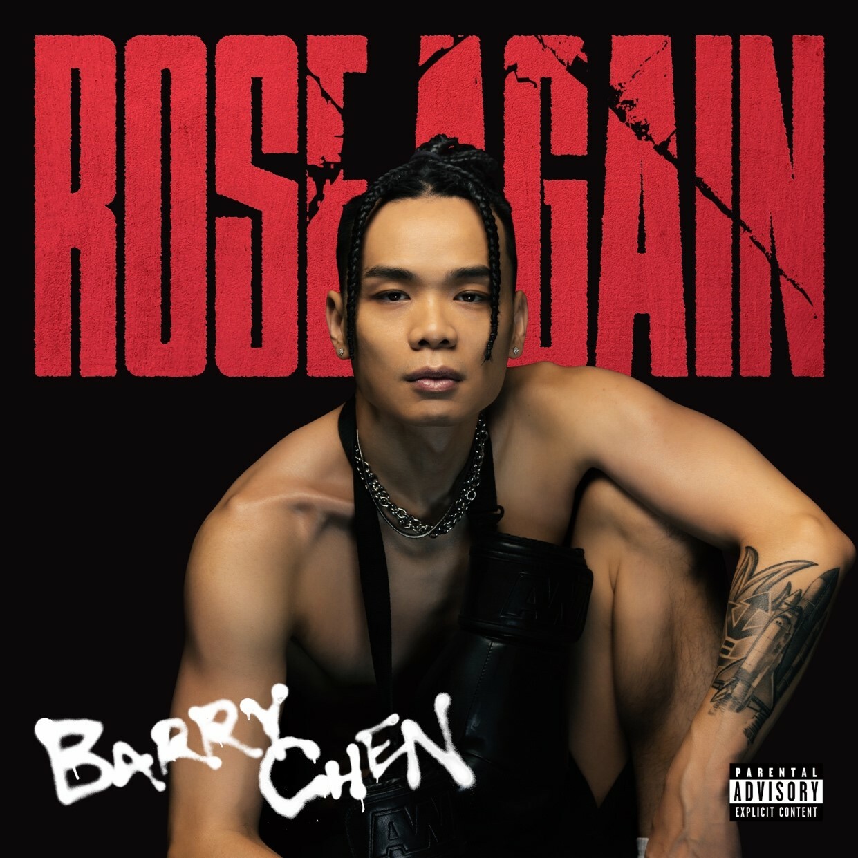 台饒反叛指標—Barry Chen〈Rose Again〉