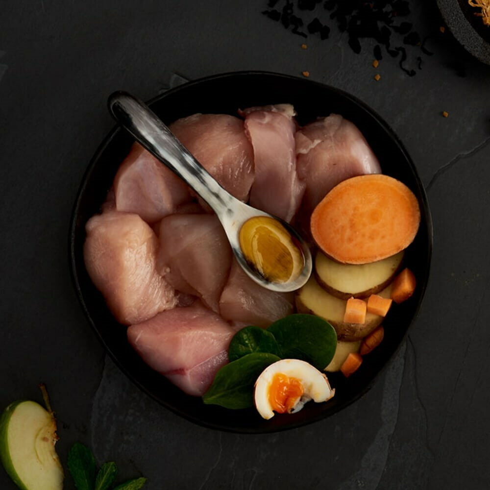 CANAGAN 原之選無穀物天然貓糧 - 走地雞配方 4kg