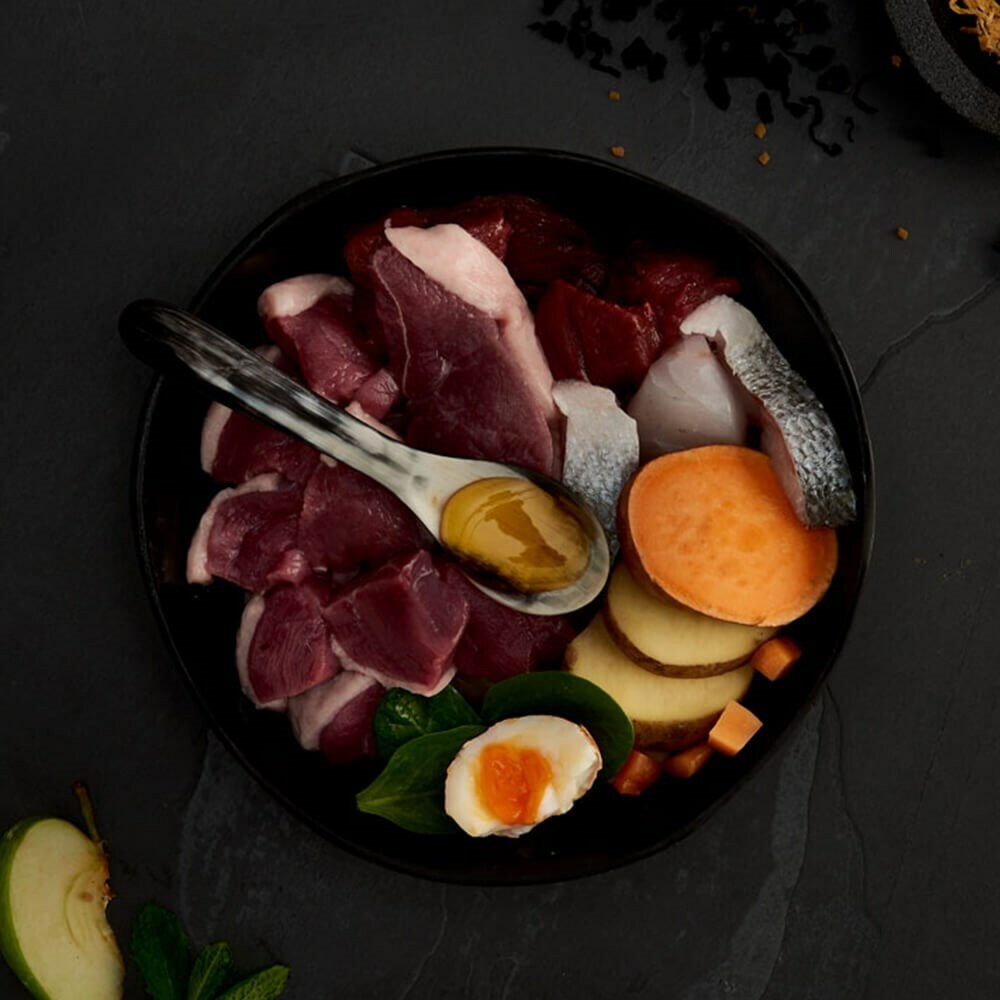 CANAGAN 原之選無穀物天然貓糧 - 田園野味配方 1.5kg