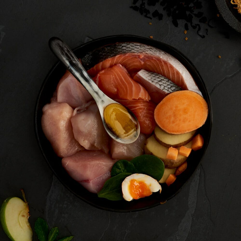 CANAGAN 原之選無穀物天然貓糧  - 減肥 / 老猫 - 雞肉及三文魚 4kg