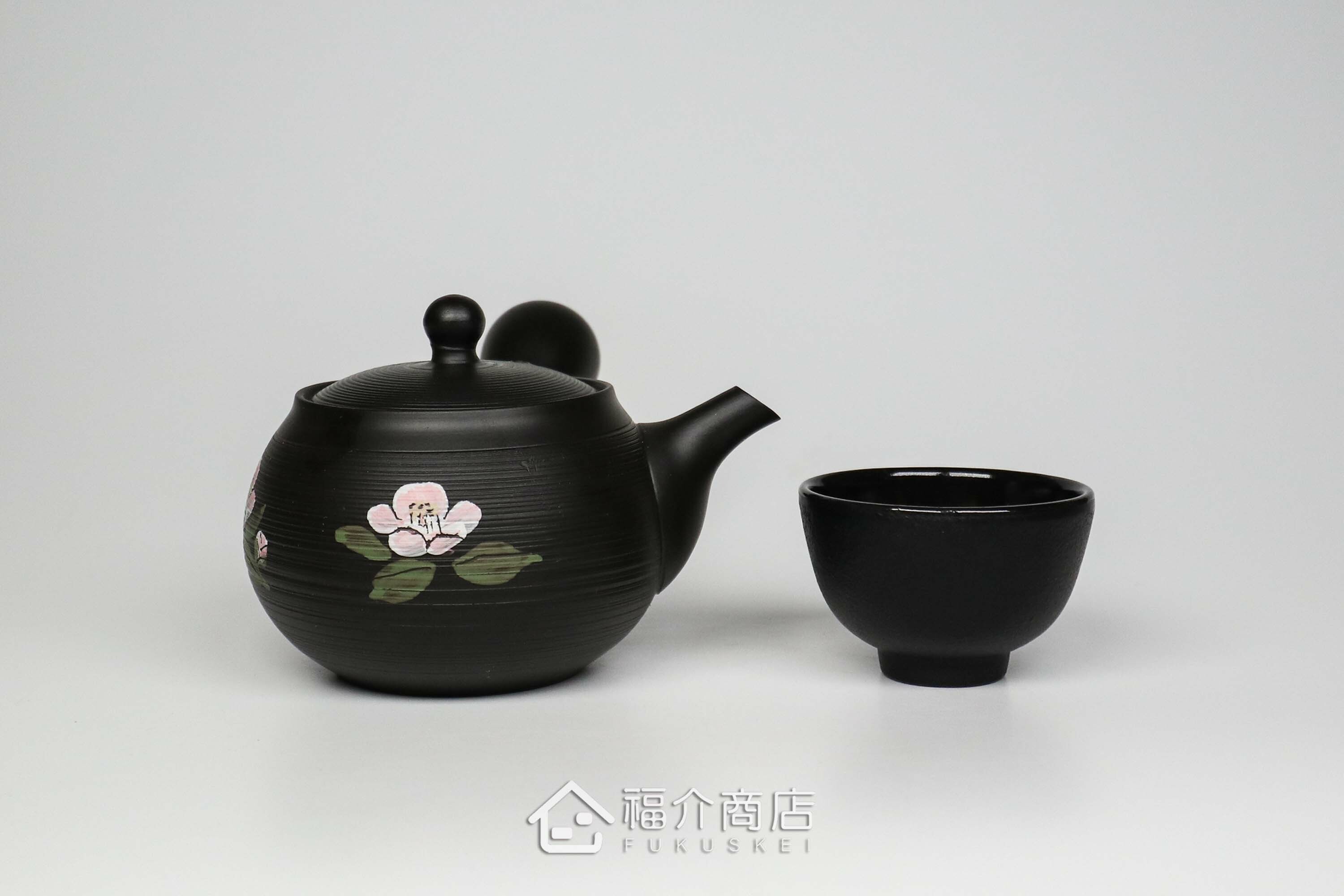 泡茶用的日本陶瓷茶壺