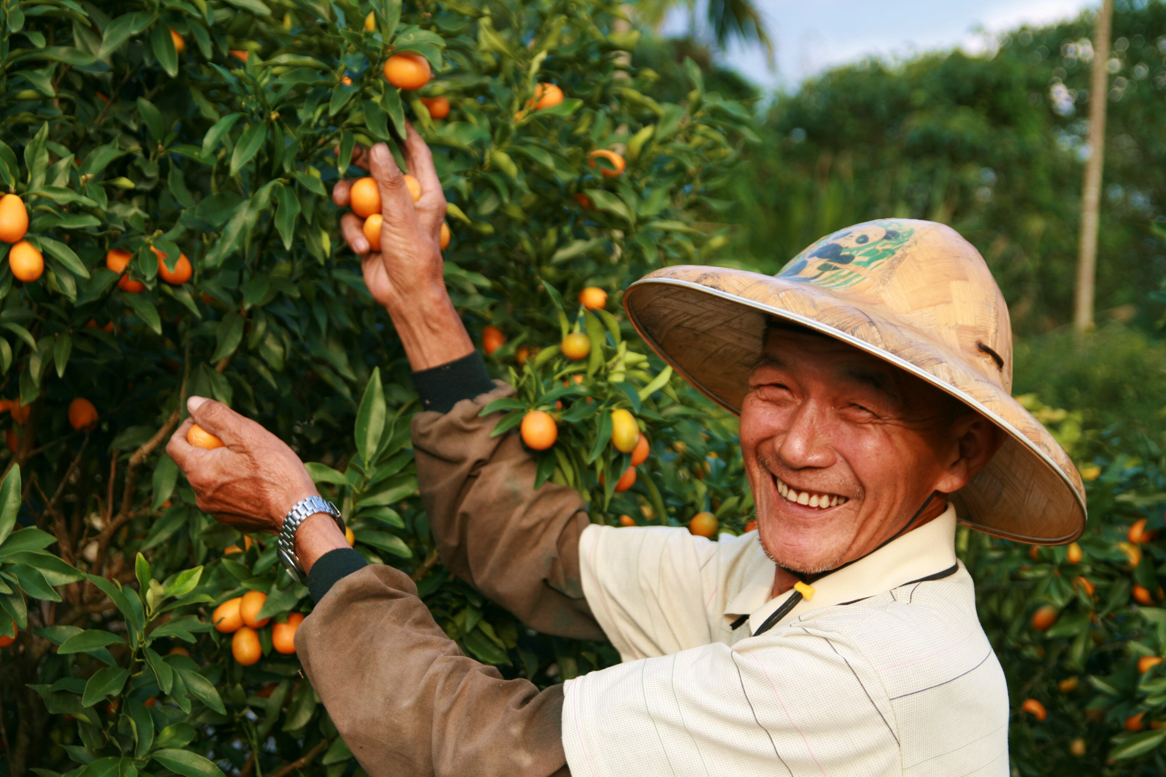 橘之鄉工廠做什麼