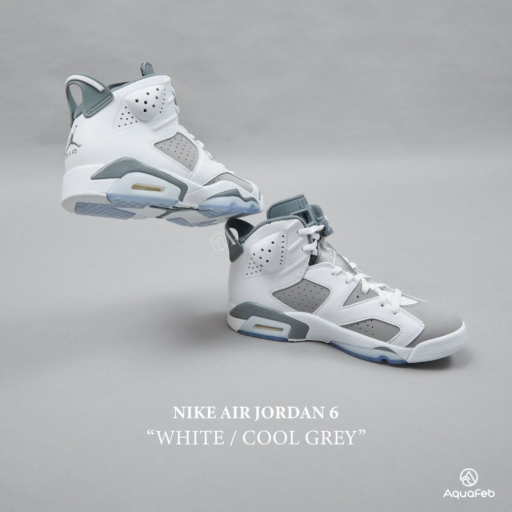 Nike Jordan 6 Retro Cool Grey 男白灰經典喬丹運動休閒鞋CT85...