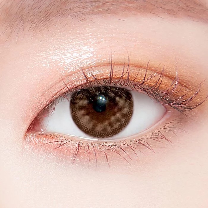 LensTown Chocolato 1 Day(10P)(Choco Brown)