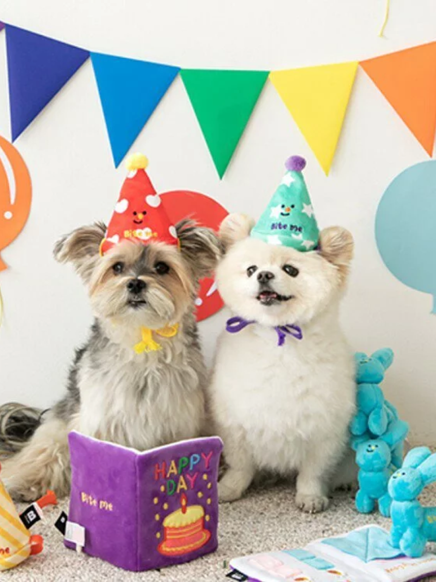 【韓國 BiteMe】Party氣球狗｜造型玩具