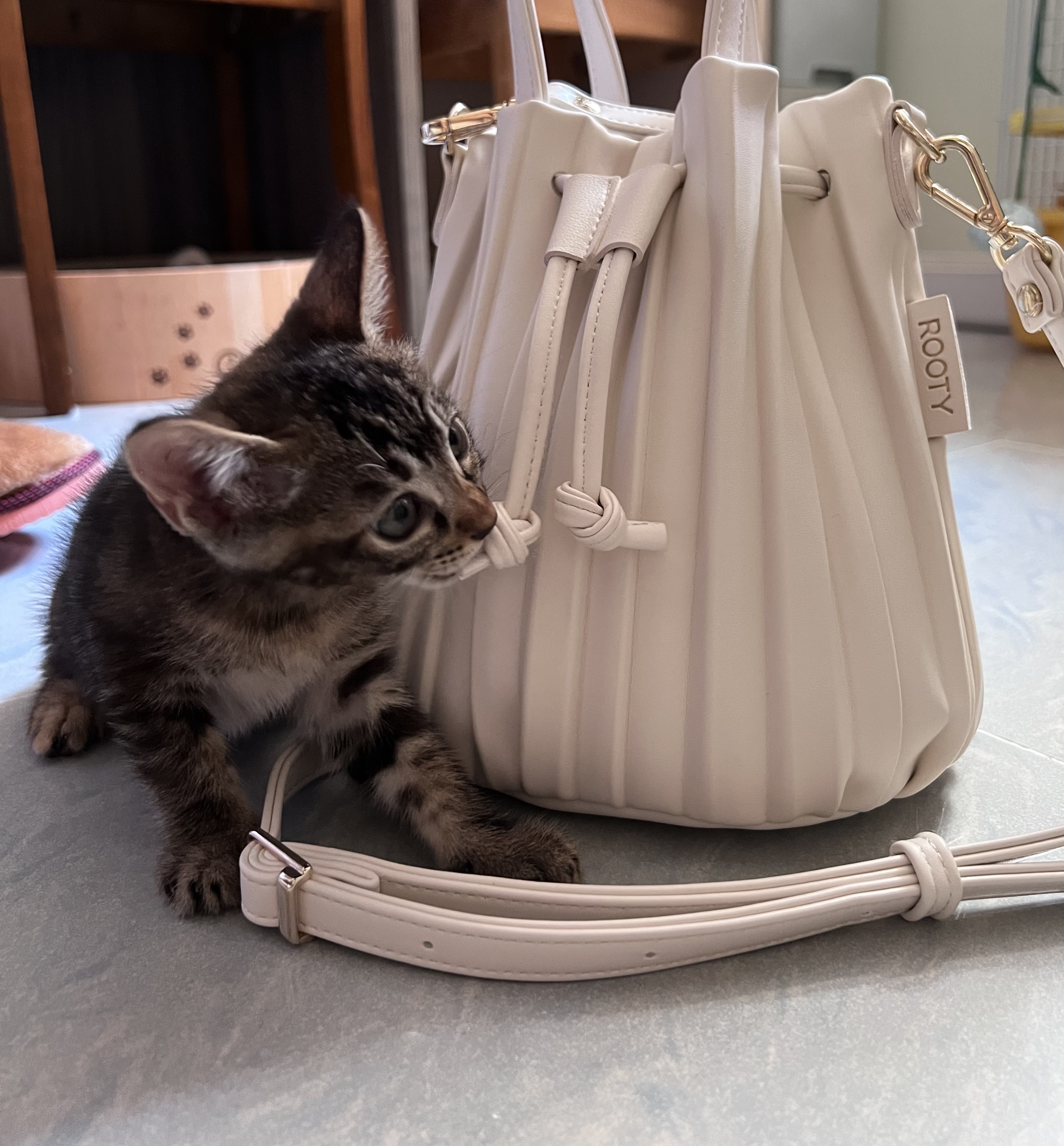 ✨||R521 ||Mini版百摺索袋