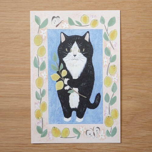 燕尾服貓 貓咪繪本明信片｜日本 4legs