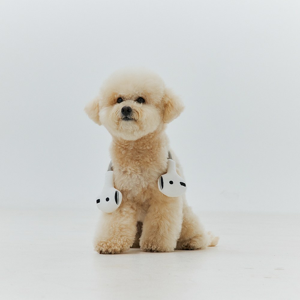 PETHROOM - 復古耳機玩具